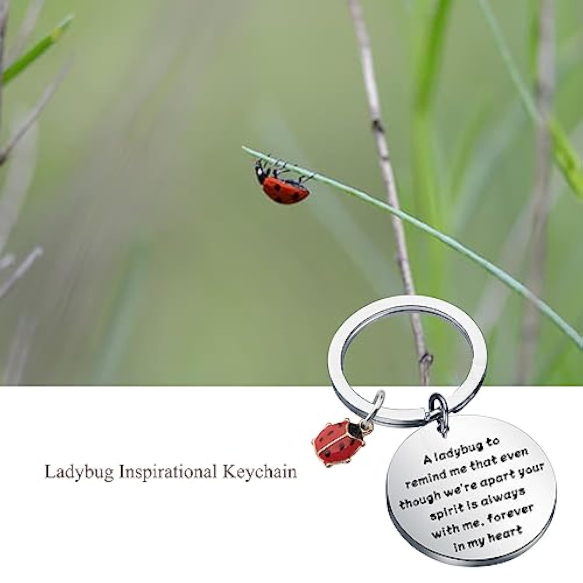Ladybug Sympathy Gift, Memorial Remembrance Gift